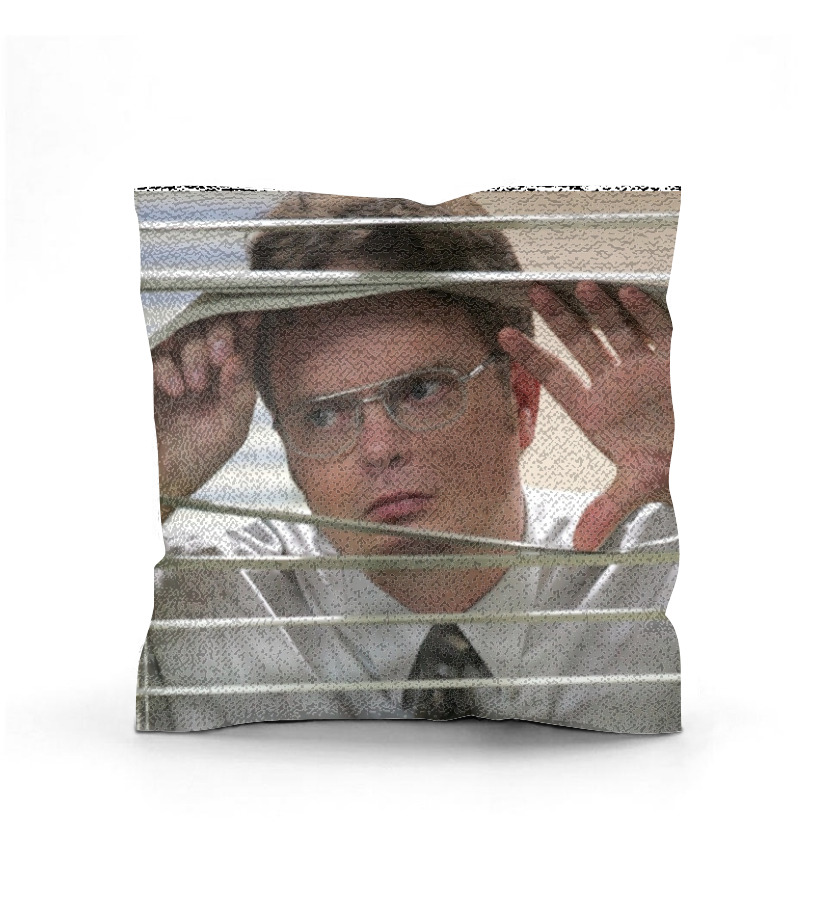 Dwight 2024 sequin pillow