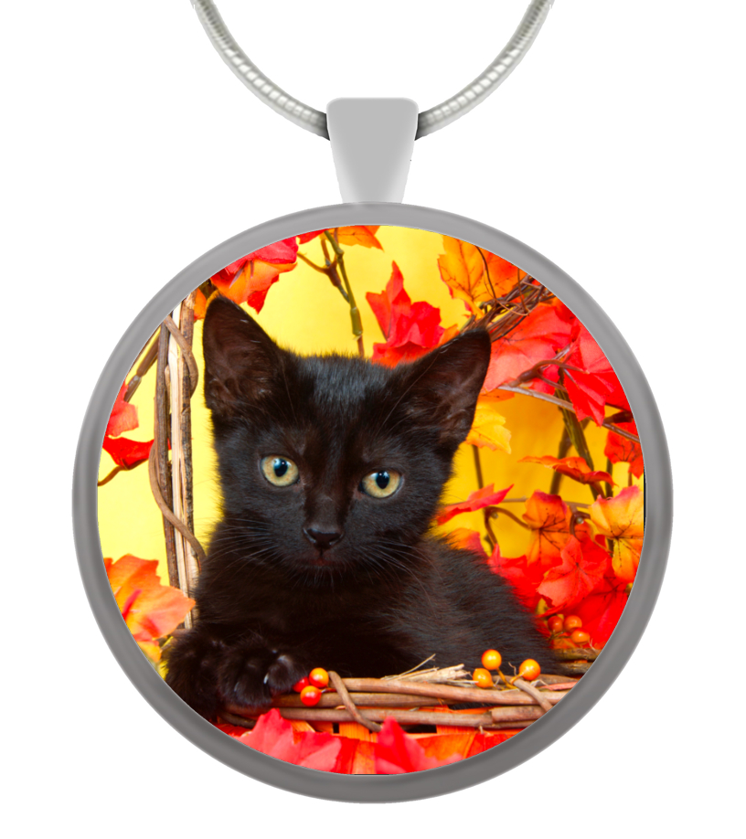 Collana con gatto pendente