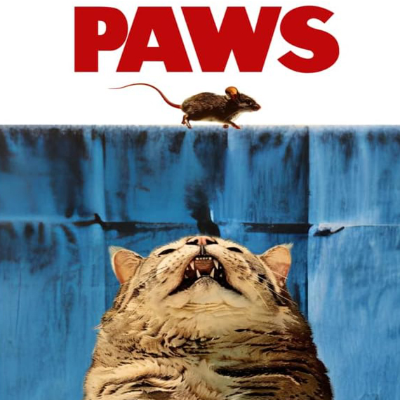 Cat Parody