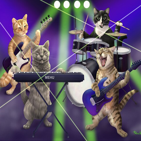 Cat Rock Music
