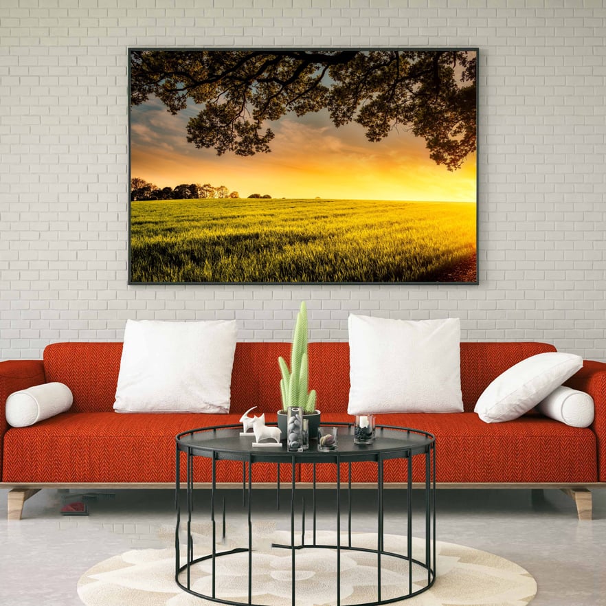 Canvas