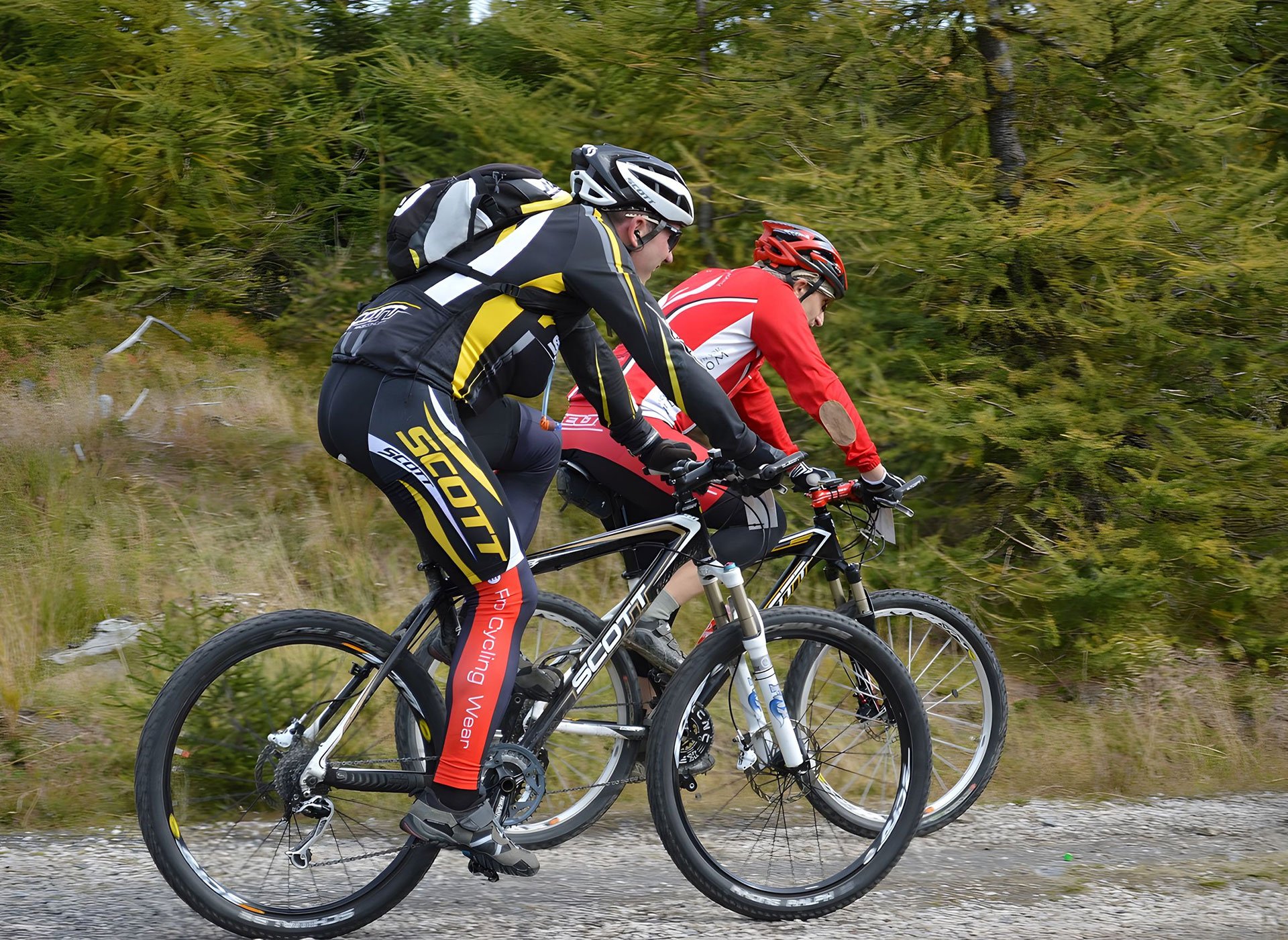 VTT