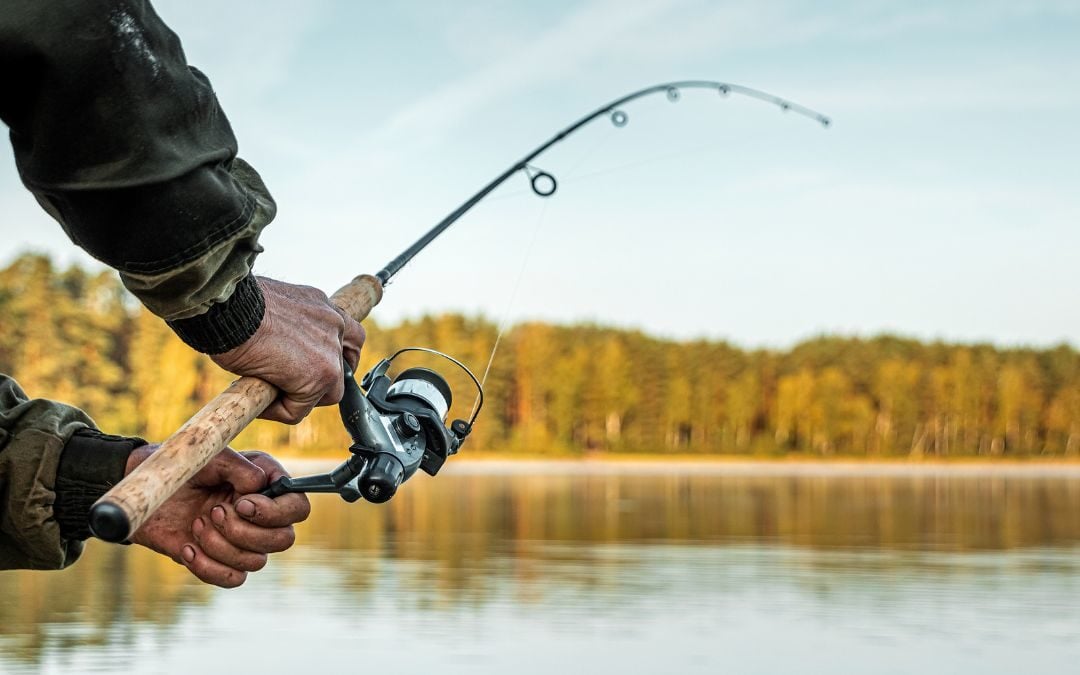 Fishing tour